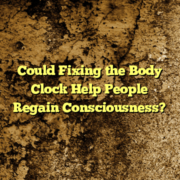 Could Fixing the Body Clock Help People Regain Consciousness?