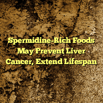 Spermidine-Rich Foods May Prevent Liver Cancer, Extend Lifespan