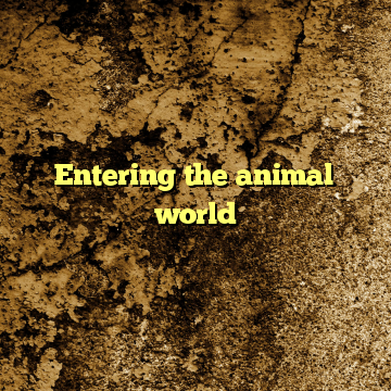 Entering the animal world
