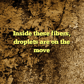 Inside these fibers, droplets are on the move